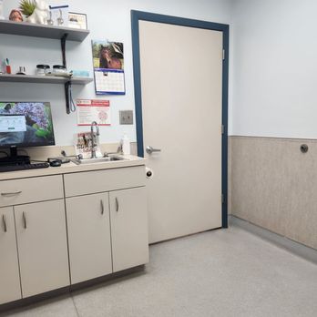 Independence Veterinary Clinic - Exam room - Veterinarians Near Me - Charlotte, North Carolina Independence Veterinary Clinic - Exam room - Veterinarians Near Me - Charlotte, North Carolina