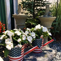 The Angels Garden - Fourth of July Planters