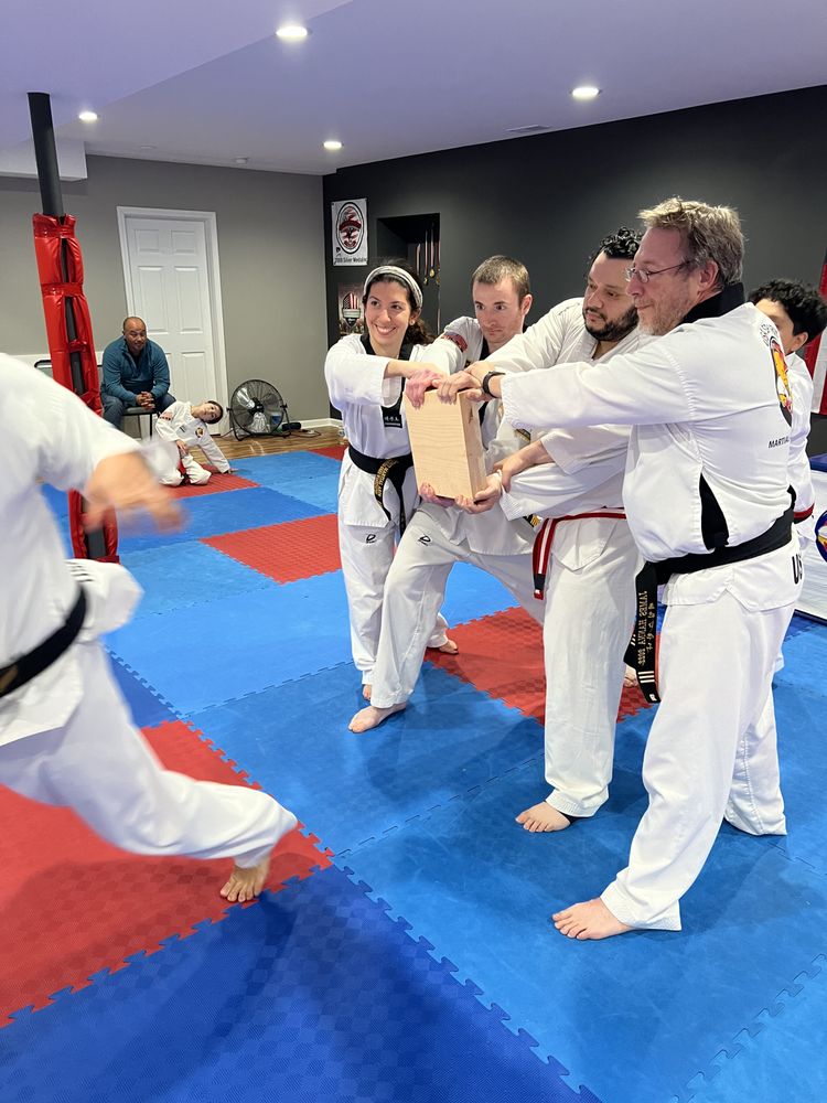 USA Spirit Martial Arts Academy Logo