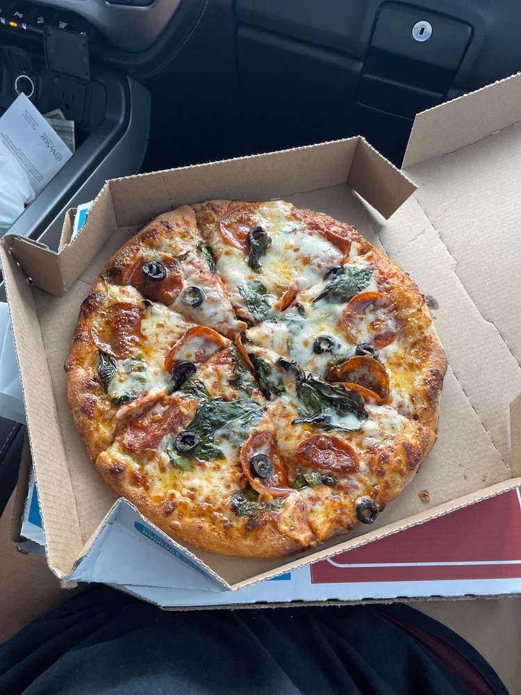 Domino's Pizza Logo