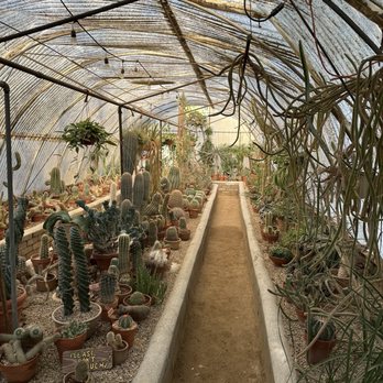 Moorten Botanical Garden - Nurseries & Gardening Near Me - Palm Springs, California Moorten Botanical Garden - Nurseries & Gardening Near Me - Palm Springs, California