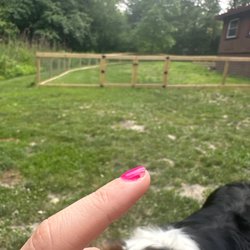 Posh Nails and Spa