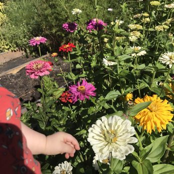 Birchwood Meadows - Nurseries & Gardening Near Me - Sturgeon County, Alberta Birchwood Meadows - Nurseries & Gardening Near Me - Sturgeon County, Alberta