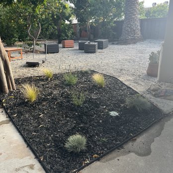 Azul and Verde Nursery - Nurseries & Gardening Near Me - Torrance, California Azul and Verde Nursery - Nurseries & Gardening Near Me - Torrance, California