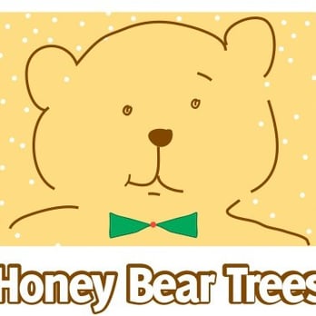 honey bear christmas trees