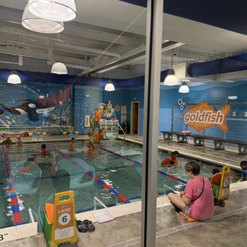 Goldfish Swim School - Norwalk - Classes in progress - Swimming Lessons/Schools Near Me - Norwalk, Connecticut Goldfish Swim School - Norwalk - Classes in progress - Swimming Lessons/Schools Near Me - Norwalk, Connecticut