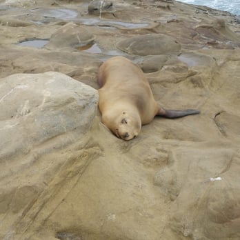 La Jolla Cove - Parks Near Me - La Jolla, California