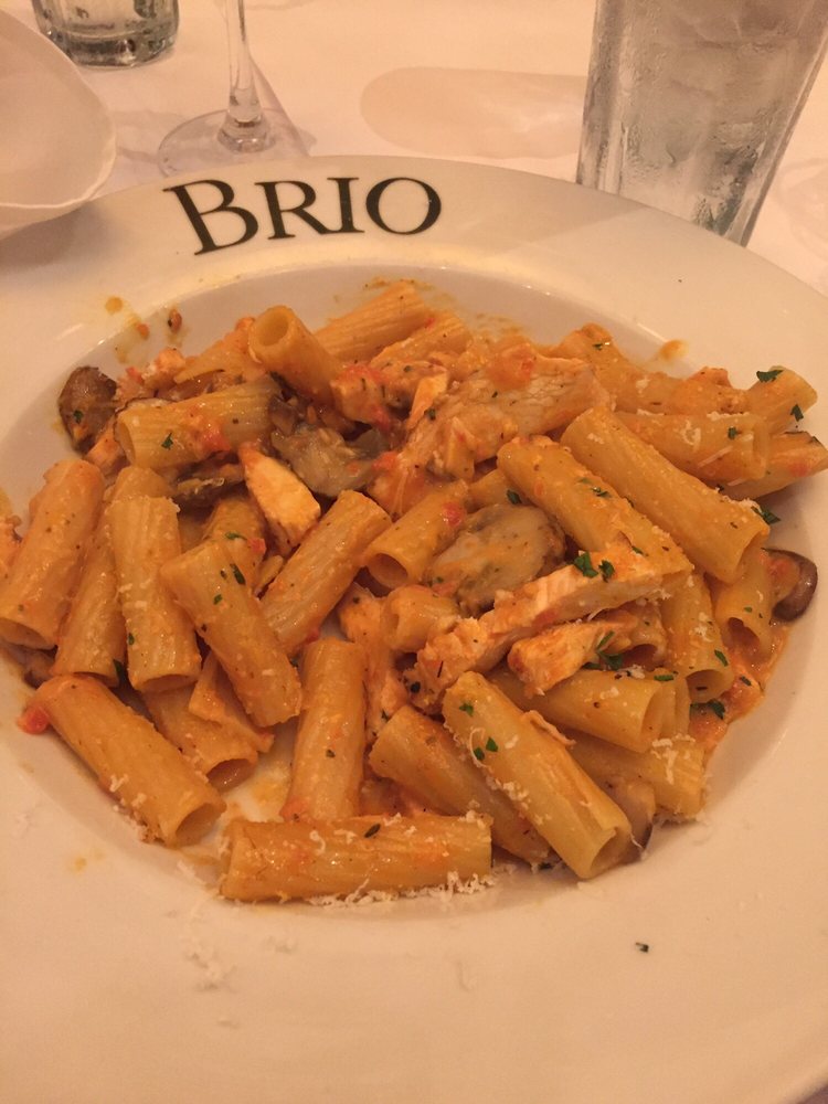 Easy Homemade Pasta alla Vodka Brio Recipe 2024 AtOnce