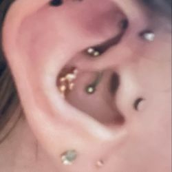 Lotus Body Piercing - Forward helix piercing and new jewelry for my vertical helix in Antioch. Conch piercing in concord.