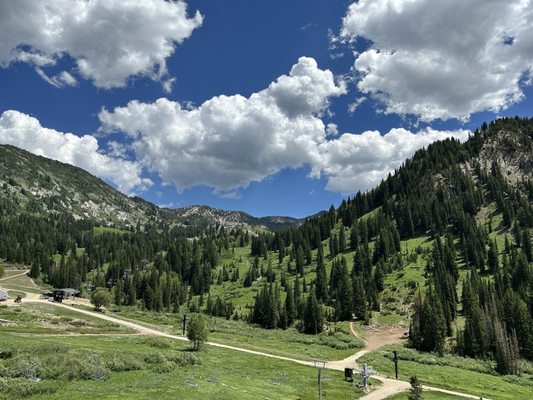 The Gulch Pub by null