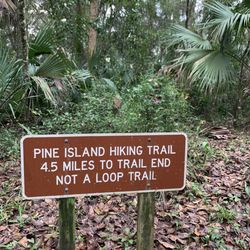 Pine Island Hiking Trail - Mapped data from other hikers shows 3.5 miles one way. It's one way. You will have to walk equal distance back.