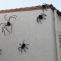 Photo of Patriot Pest Management
