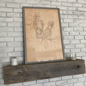 Framin' Works - Cockatoos - Art Galleries Near Me - Phoenix, Arizona