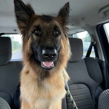 Gabby's Glamour Pets Mobile Grooming - Pet Groomers Near Me Gabby's Glamour Pets Mobile Grooming - Pet Groomers Near Me