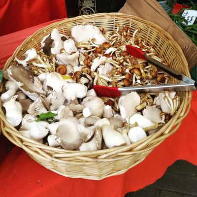 Copley Square Farmers Market by null