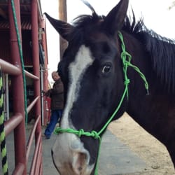 The J Ranch - My horse she lives at the j ranch:)
