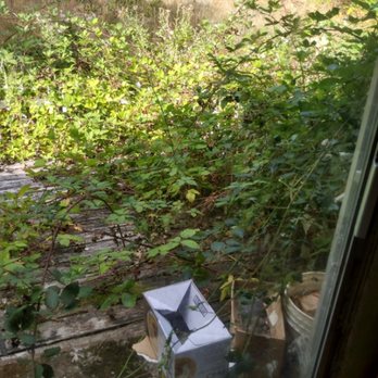 A Peachy Clean By Tiffany - Property cleanup - Home Cleaning Near Me A Peachy Clean By Tiffany - Property cleanup - Home Cleaning Near Me