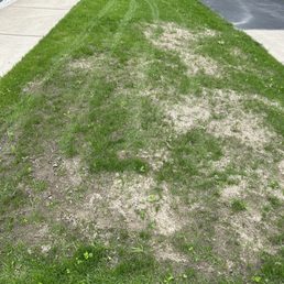 Bad landscaping. Bad landscaping.