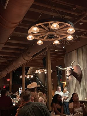 Desert 5 Spot by null