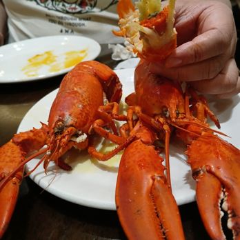 Serrano Buffet - My Son Birthday Celebration Lobster Night:) - Buffets Near Me - Highland, California