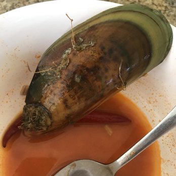 Mandarin House - They didn't even clean the mussels before they cooked it :( - Chinese Near Me - San Jose, California Mandarin House - They didn't even clean the mussels before they cooked it :( - Chinese Near Me - San Jose, California