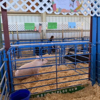 San Mateo County Fair - Festivals Near Me - San Mateo, California