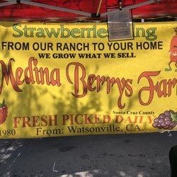 Medina Berrys Farms