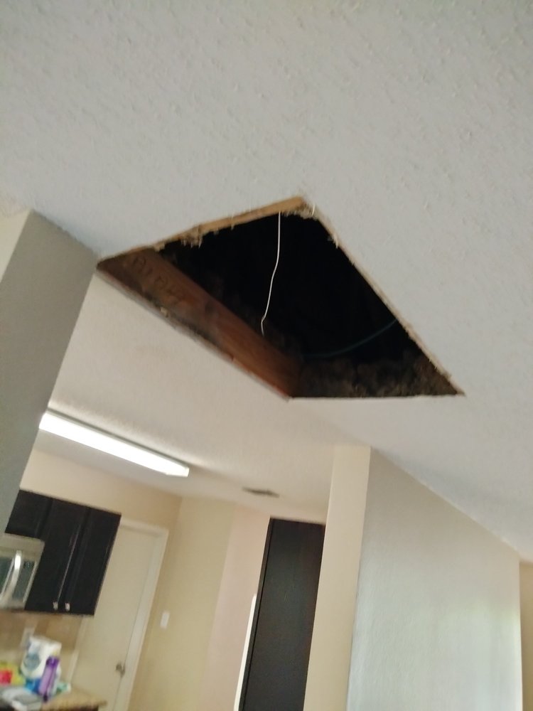 Slide of Top of the House Professionals