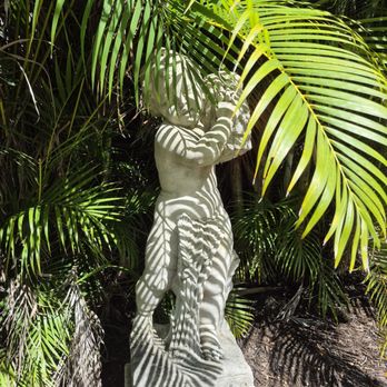 The Ringling - Art Museums Near Me - Sarasota, Florida The Ringling - Art Museums Near Me - Sarasota, Florida