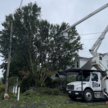 Scott Cullen Services - Several utility lines complicated the task. - Tree Services Near Me Scott Cullen Services - Several utility lines complicated the task. - Tree Services Near Me