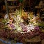 Photo of Casas Succulents And Cactus