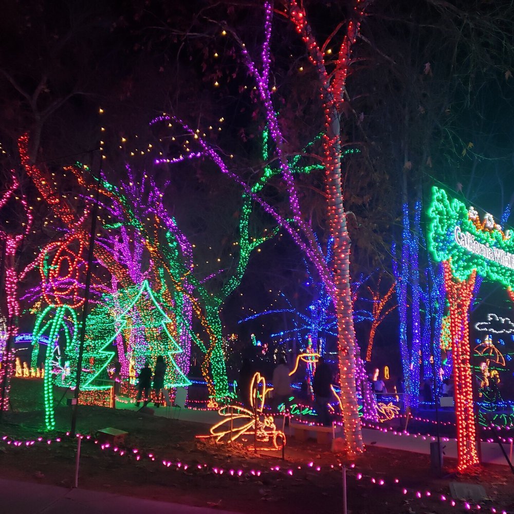 Holiday Lights at C.A.L.M. - Holiday Lights at CALM 2019 - Festivals Near Me - Bakersfield, California Holiday Lights at C.A.L.M. - Holiday Lights at CALM 2019 - Festivals Near Me - Bakersfield, California