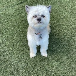 Fresh after his cut!
