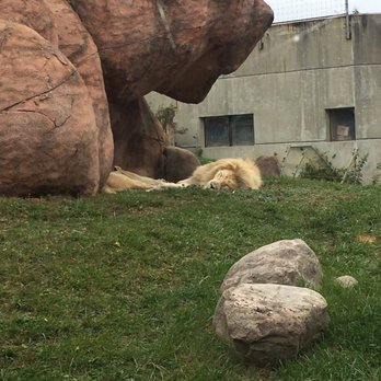 Toronto Zoo - Zoos Near Me - Toronto, Ontario Toronto Zoo - Zoos Near Me - Toronto, Ontario