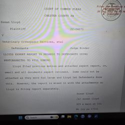 Chester County Courthouse - Filed expert report that bret binder lies and says does not exist