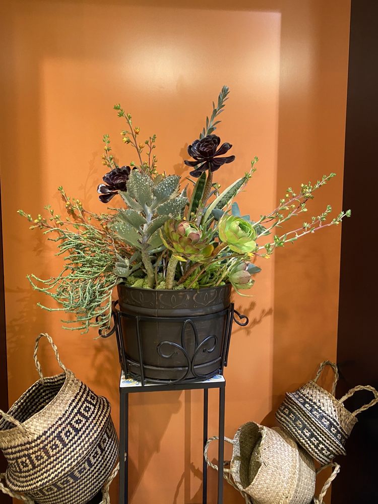 TEACUP SUCCULENTS & MORE Updated October 2024 45 Photos 832 Shops