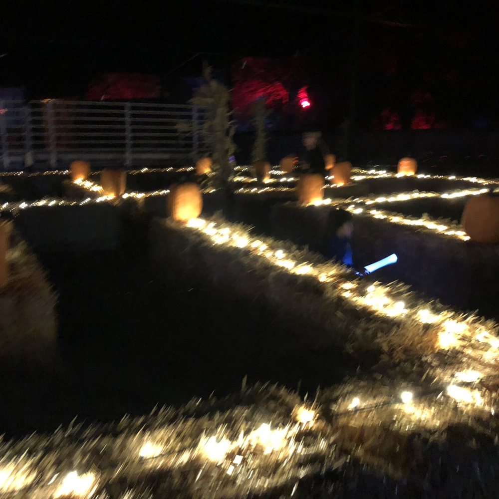 Pumpkin Nights - Festivals Near Me - Auburn, California