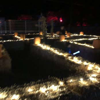 Pumpkin Nights - Festivals Near Me - Auburn, California Pumpkin Nights - Festivals Near Me - Auburn, California
