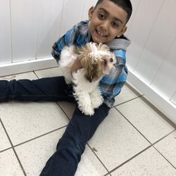 selmers petland puppies