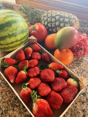 The Fruit Stand by null