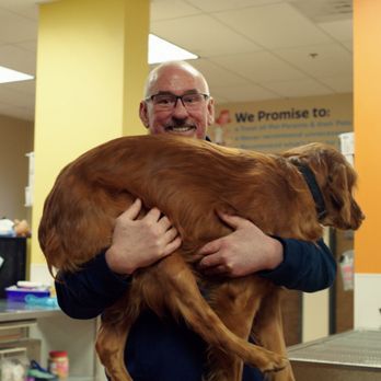 Hannah Pet Hospital - Pet Training Near Me - Tigard, Oregon Hannah Pet Hospital - Pet Training Near Me - Tigard, Oregon