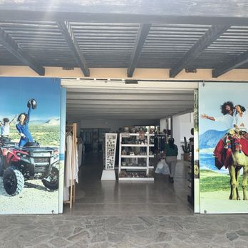 Cactus Tours - Tours Near Me - Cabo San Lucas, BCS