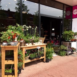 Bloomies