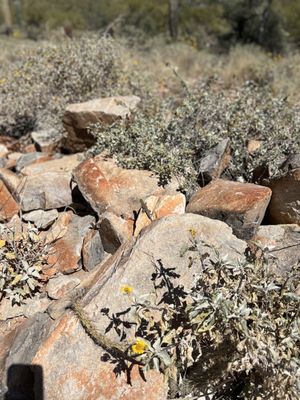 Gateway Trailhead - McDowell Sonoran Preserve by null