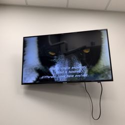 Reafield Dental - This large monitor can display patient information or tv shows.