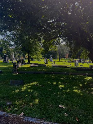 Elmwood Cemetery by null