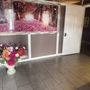 Photo of Sakura Spa