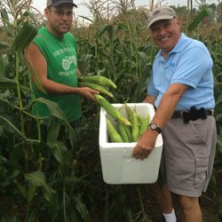 Matt's Farm Stand - Matt personally picked my corn today. What a gentleman farmer!!!