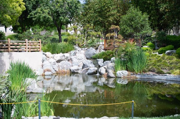 Japanese Garden by null