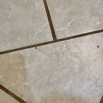 Sea Haven Motel - Bathroom was filthy...hairs on ground and on shower walls. - Hotels Near Me - Rockaway Beach, Oregon Sea Haven Motel - Bathroom was filthy...hairs on ground and on shower walls. - Hotels Near Me - Rockaway Beach, Oregon